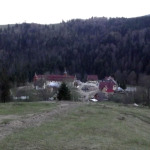 padure-manastirea-paltin-petru-voda