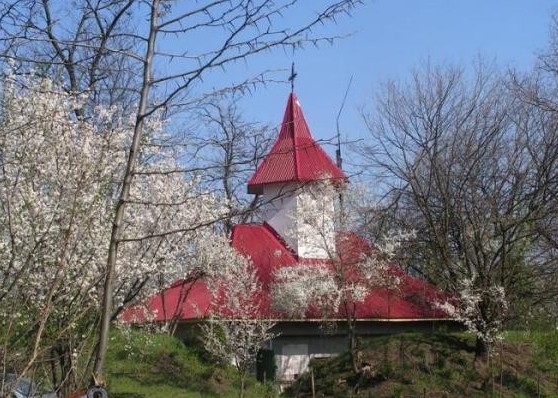 poza-2308_1