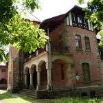 poza-darnaest