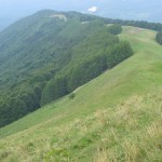 SURSA-Munte.20m.com_