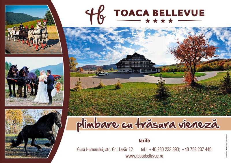 Hotel Toaca Bellevue